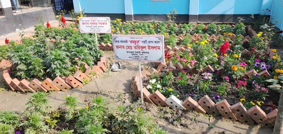 image-here